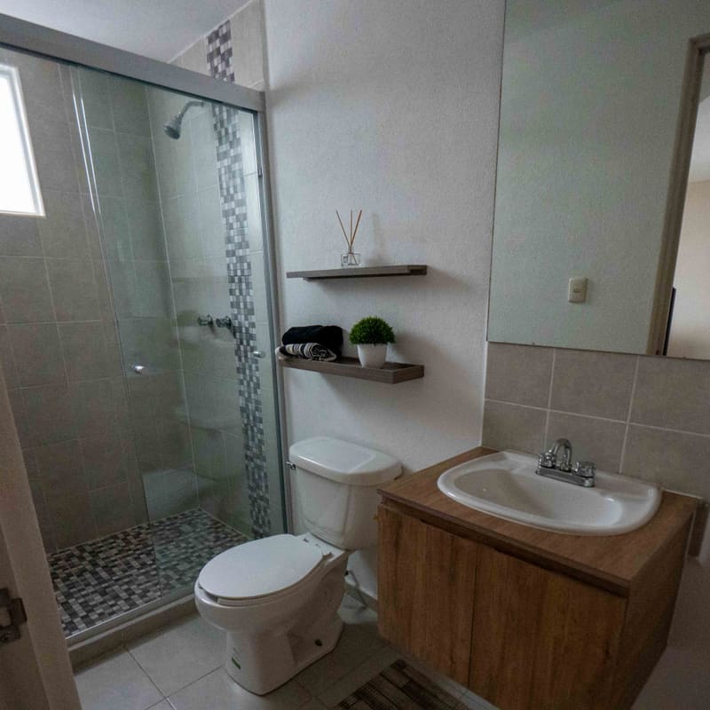 Baño completo con regadera en planta baja de modelo Lyon